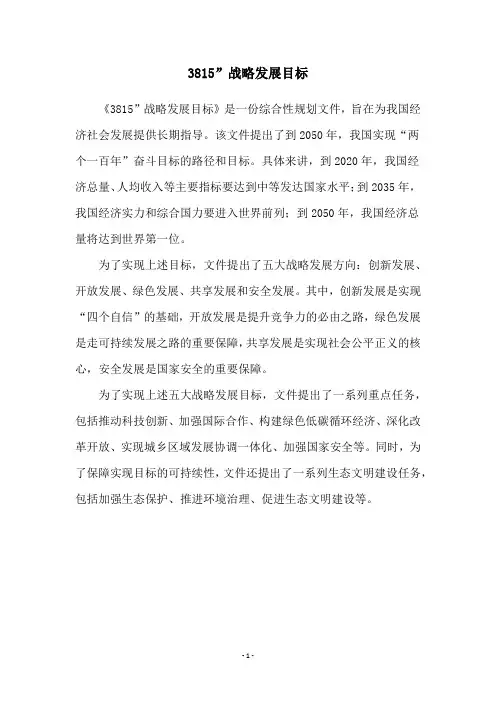 3815”战略发展目标