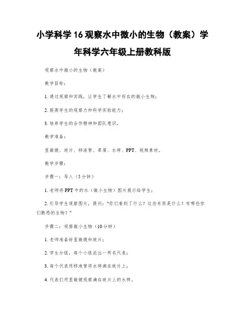小学科学16观察水中微小的生物(教案)学年科学六年级上册教科版