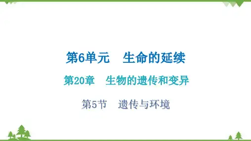 北师大版生物八年级上册 第20章第5节 遗传与环境课件(共28张ppt)