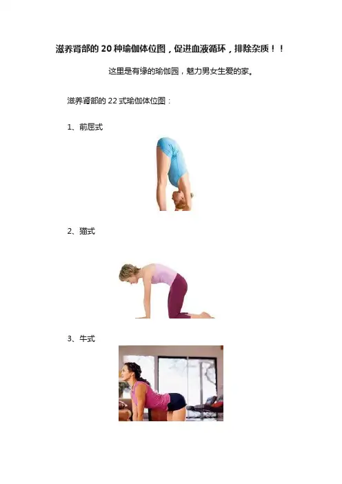 滋养肾部的20种瑜伽体位图，促进血液循环，排除杂质！！