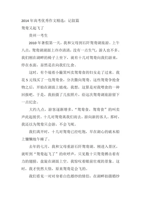 2014年高考优秀作文精选：记叙篇