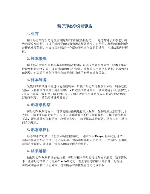 精子形态学分析报告 4