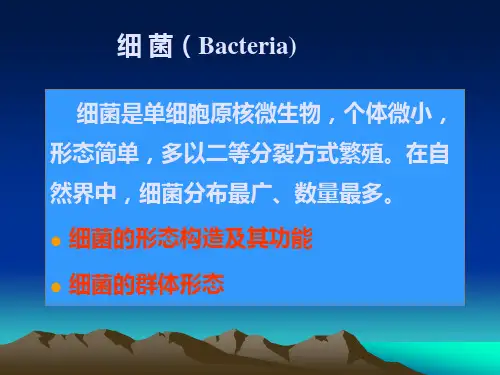 革兰氏阳性菌PPT课件