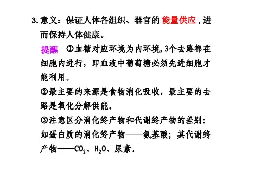 时血糖和体温的平衡及调节