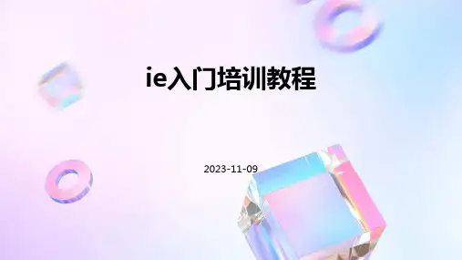 IE入门培训教程