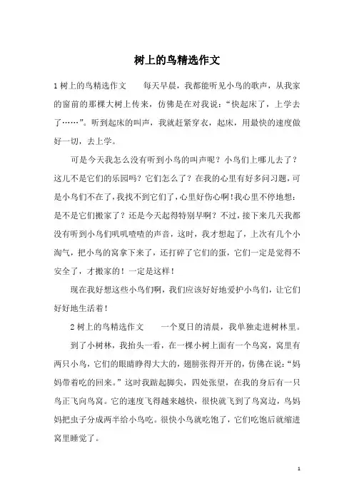 树上的鸟精选作文