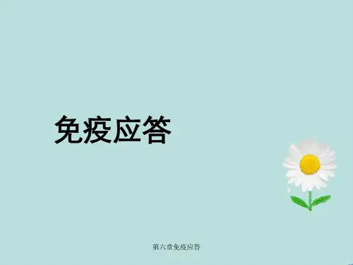 第六章免疫应答