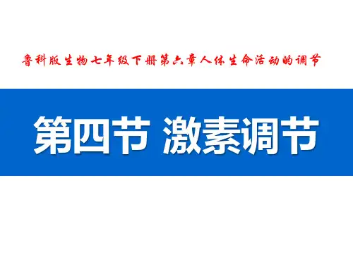 鲁科版(五四学制)七年级生物下册第六章第四节激素调节(共32张PPT)