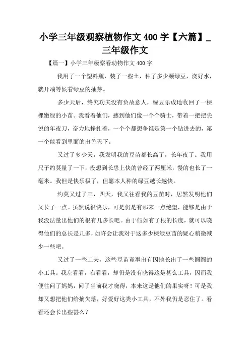 小学三年级观察植物作文400字【六篇】_三年级作文