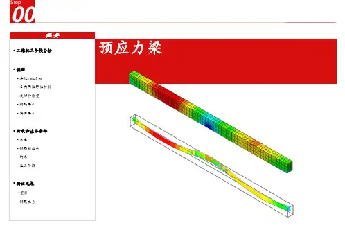 MIDASFEA教程有实例专业知识