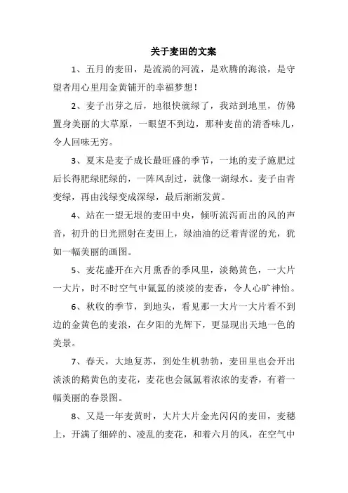 关于麦田的文案