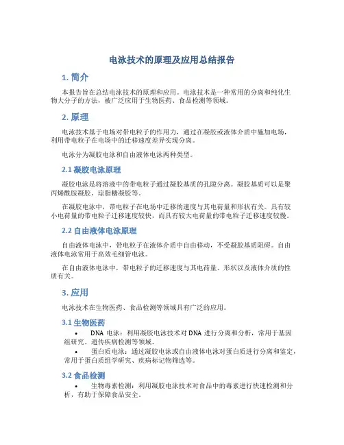 电泳技术的原理及应用总结报告