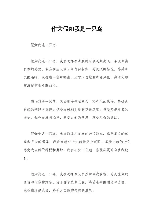 作文假如我是一只鸟