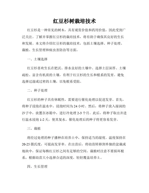 红豆杉树栽培技术