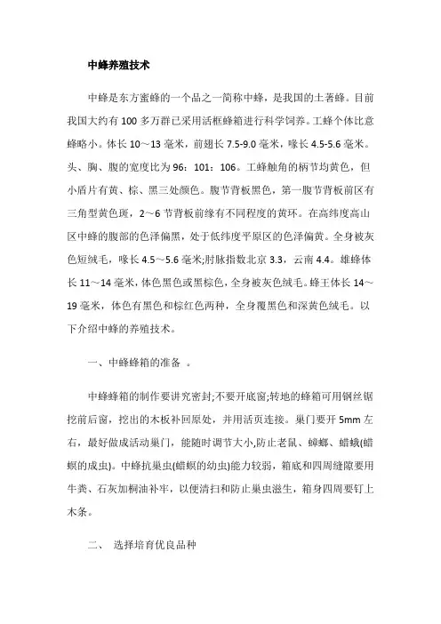 中蜂养殖技术