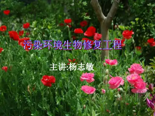 绪论 污染环境生物修复工程