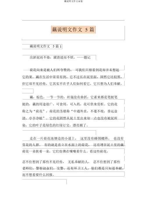 藕说明文作文5篇