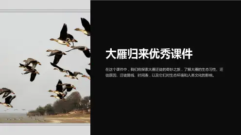 大雁归来优秀课件