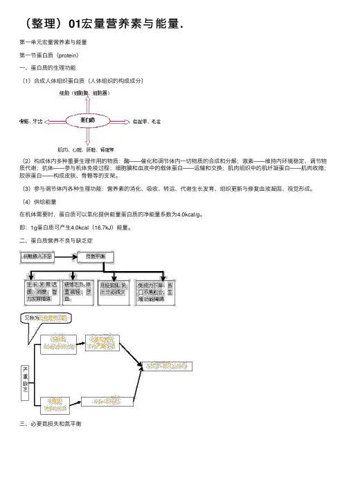 （整理）01宏量营养素与能量.