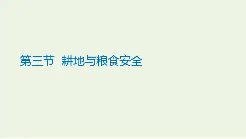 _新教材高中地理第一单元自然资源与国家安全第三节耕地与粮食安全课件鲁教版选择性必修