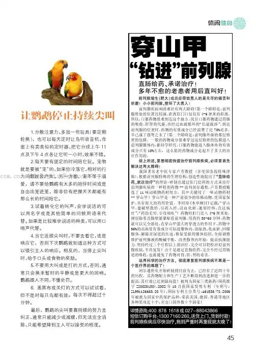让鹦鹉停止持续尖叫