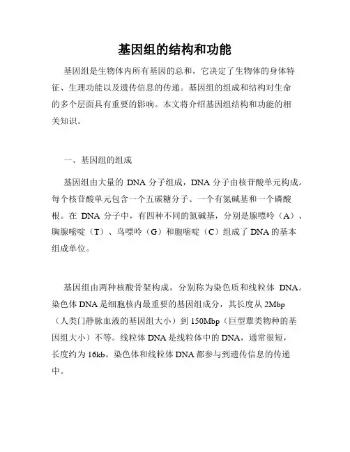 基因组的结构和功能