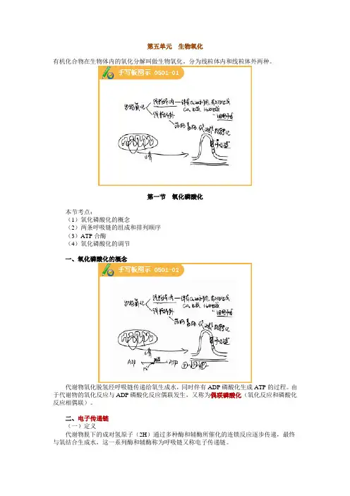 执业医师最新最全考点解析系列生物化学部分第五节——生物氧化