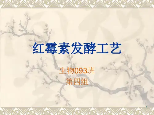 红霉素生产工艺ppt课件