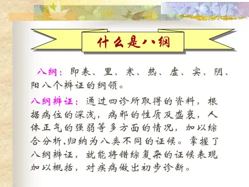 八纲辨证与护理ppt课件