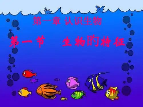 人教版七年级生物上册《认识生物》省公开课获奖课件市赛课比赛一等奖课件优选全文优选全文优选全文