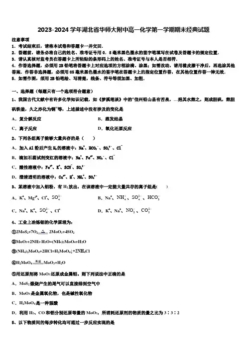2023-2024学年湖北省华师大附中高一化学第一学期期末经典试题含解析