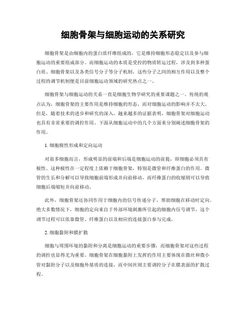 细胞骨架与细胞运动的关系研究