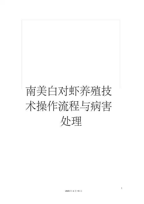 南美白对虾养殖技术操作流程与病害处理