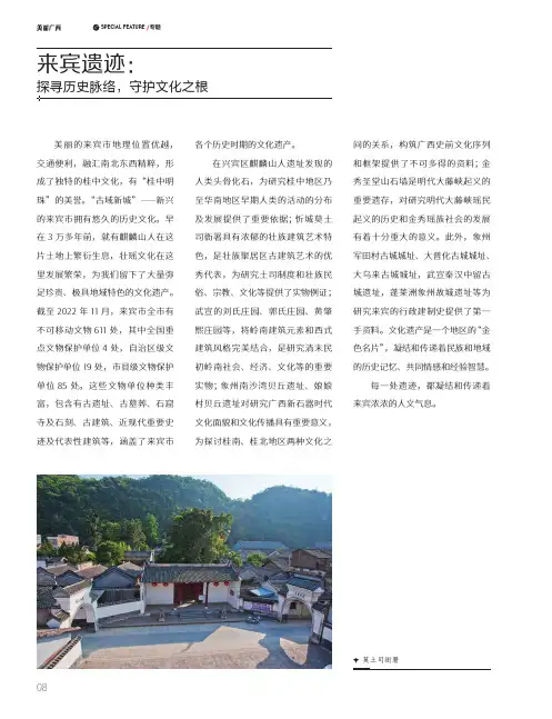 来宾遗迹：探寻历史脉络，守护文化之根