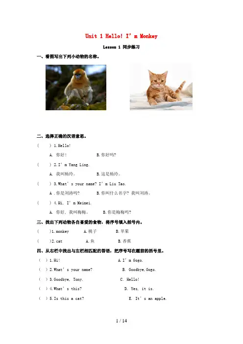 枞阳县第一小学三年级英语上册 Unit 1 Hello I’m Monkey Lesson 1 同步