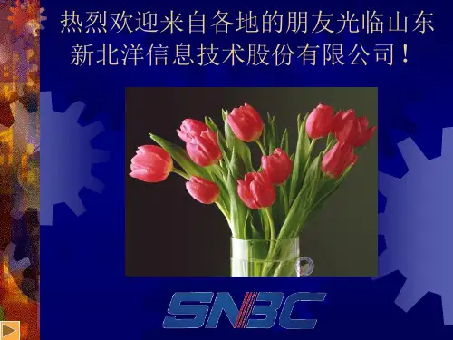 BTP-2002CP热敏打印机的日常维护与常见故障排除培训