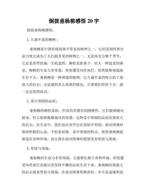 倒拔垂杨柳感悟20字