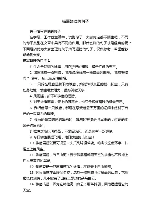 描写翅膀的句子