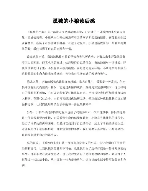 孤独的小狼读后感
