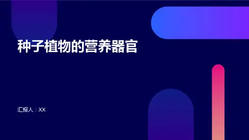 种子植物的营养器官