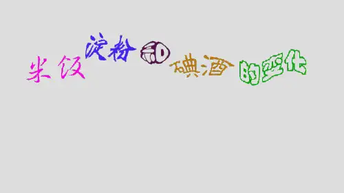 六年级下册科学精品课件-2.3米饭、淀粉和碘酒的变化教科版PPT课件8