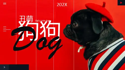 可爱萌宠狗狗ppt
