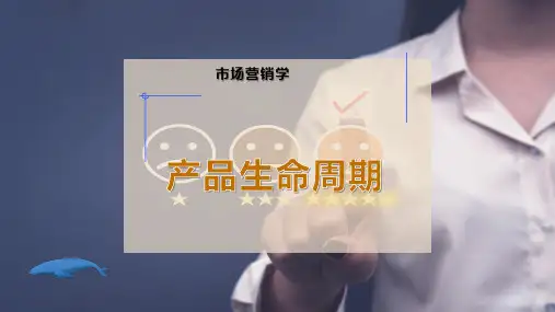 产品生命周期