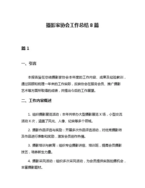 摄影家协会工作总结8篇