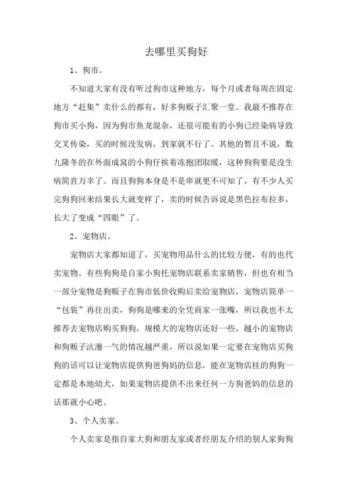去哪里买狗好