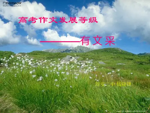 高考作文发展等级——有文采精品课件