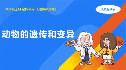 4.2 动物的遗传和变异 (课件) (共21张PPT+视频)大象版六年级科学上册