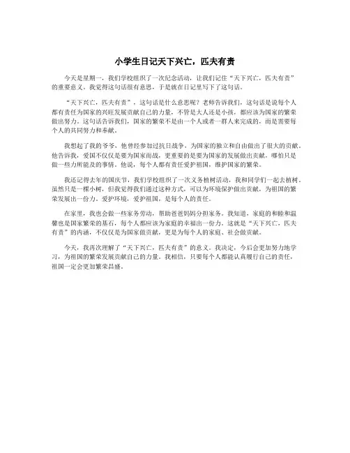 小学生日记天下兴亡,匹夫有责
