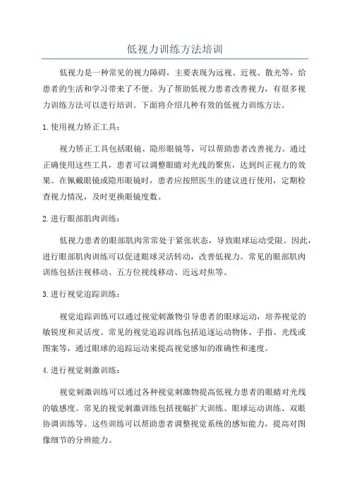 低视力训练方法培训