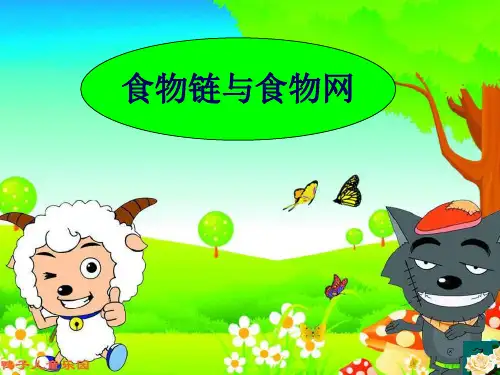 食物链和食物网PPT教学课件